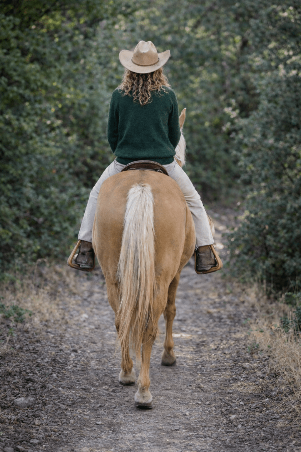 Equestrian Club Sweater